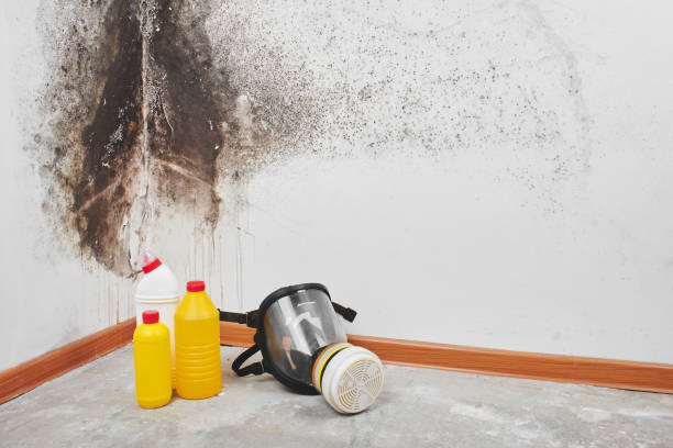 Best Certified Mold Removal  in Victoria, MS