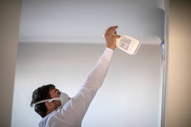 Best Mold Removal Company Near Me  in Victoria, MS