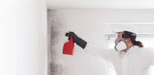 Best Mold Testing  in Victoria, MS