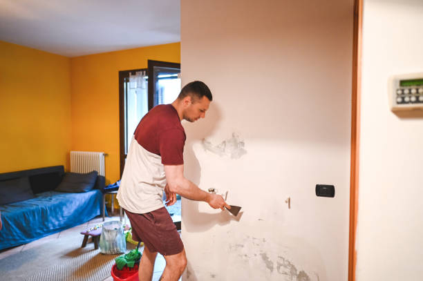 Best Same-Day Mold Removal  in Victoria, MS